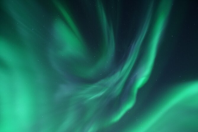 Tromsø: Evening Cruise with Northern Lights Opportunity - Booking advice and cancellation terms