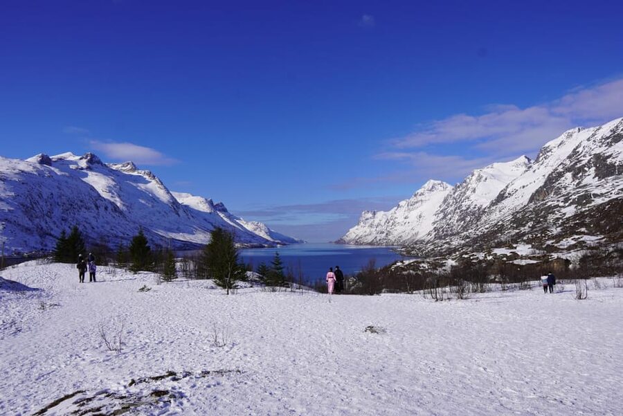 Tromsø: Exclusive Fjord Adventure by Bus - Why this Tromsø fjord trip works so well