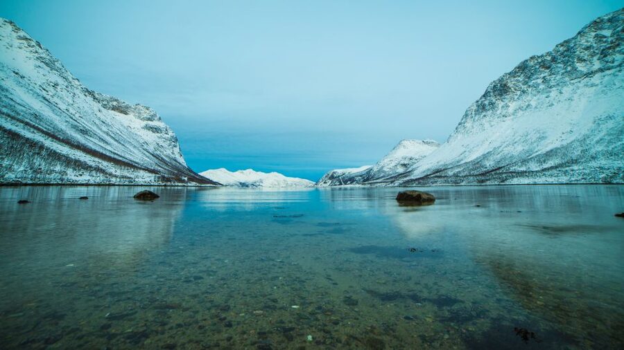 Tromsø: Exclusive Fjord Adventure by Bus - Wildlife sightings, with realistic expectations