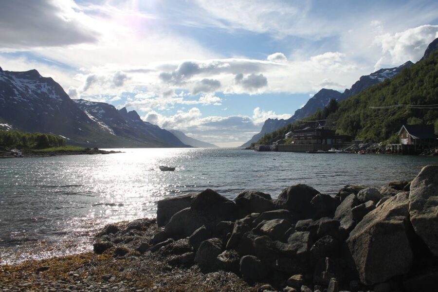 Tromsø: Exclusive Fjord Adventure by Bus - What the guide adds to the scenery
