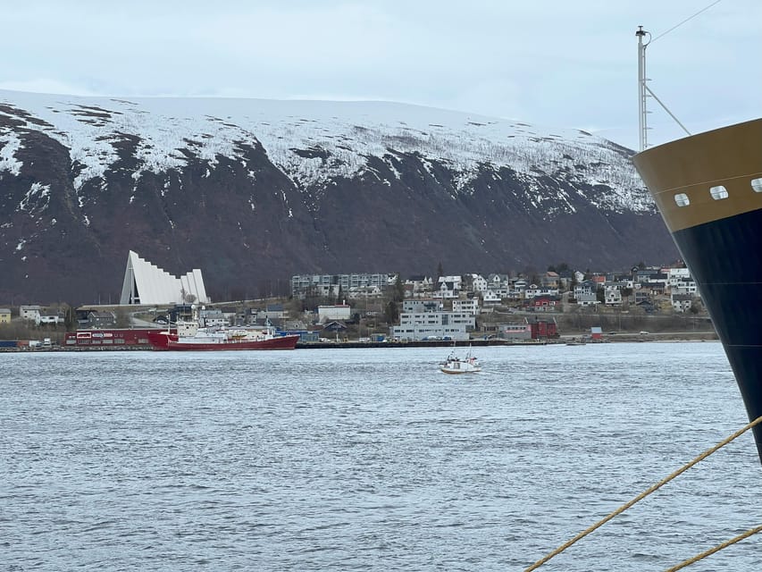 TROMSØ: Explore The City And a Guided Tour Of PolarMuseum! - From the port to Skansen