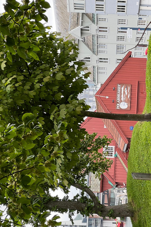 TROMSØ: Explore The City And a Guided Tour Of PolarMuseum! - What $56 buys you