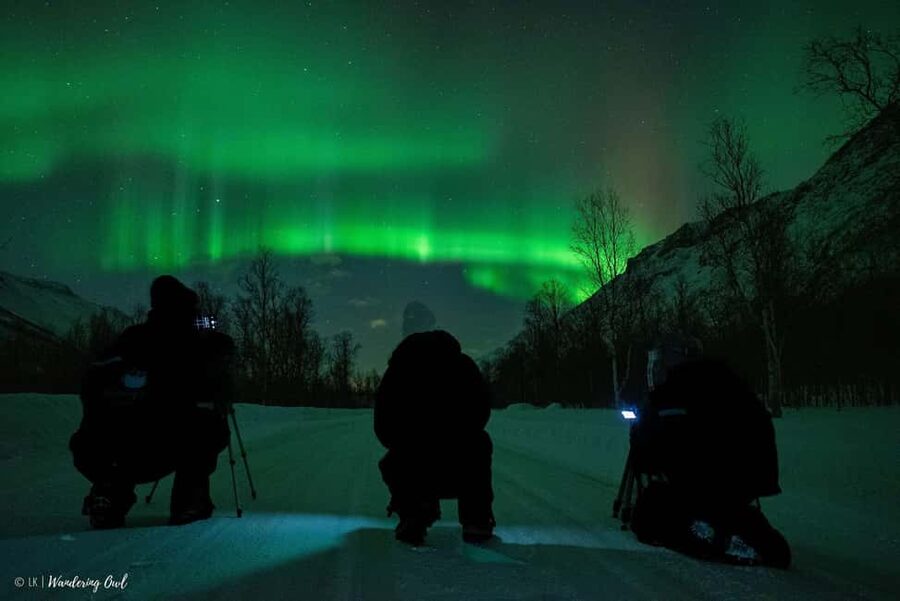 Tromsø: Express Aurora Hunt - Booking details that matter