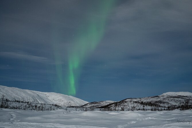 Tromsø: Express Aurora Hunt with Wandering Owl - Guides Make the Difference