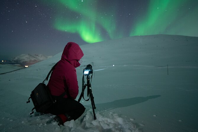 Tromsø: Express Aurora Hunt with Wandering Owl - Who Should Choose the Express Hunt?