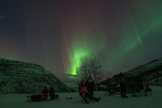 Tromsø: Express Aurora Hunt with Wandering Owl - What It Feels Like When the Lights Appear