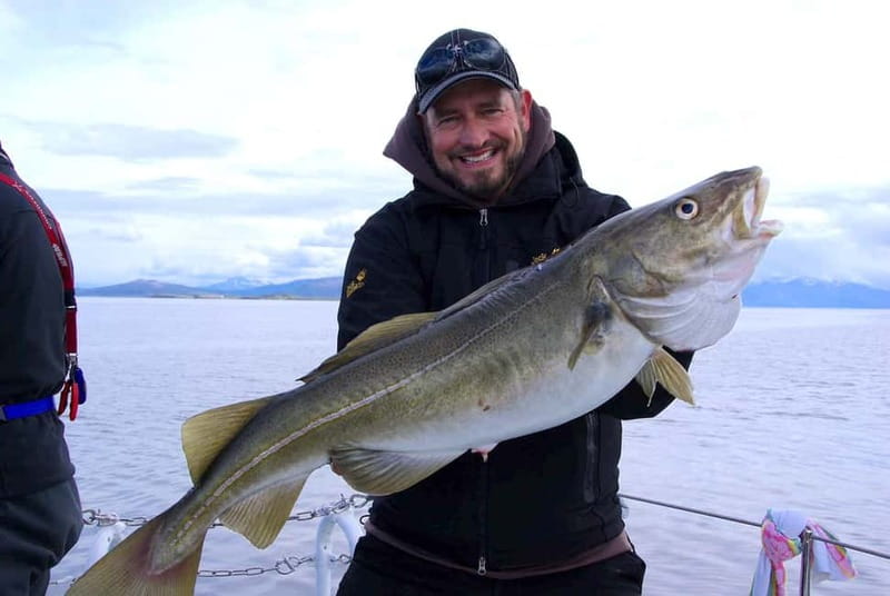 Tromsø: Fishing Sea Safari - Who will enjoy the Senjafjell outing most?