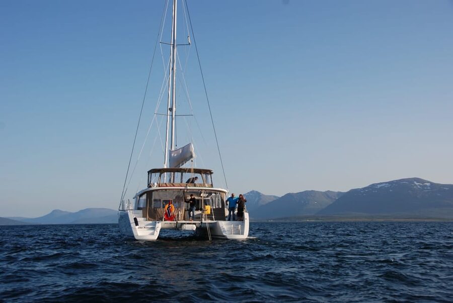 Tromsø: Fjord and Islands Luxury Catamaran Cruise - Should you book this Tromsø fjord cruise?