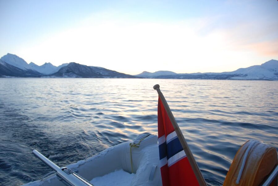 Tromsø: Fjord and Islands Luxury Catamaran Cruise - Booking details worth knowing