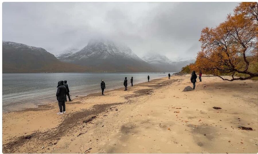 Tromso: Fjord Arctic Adventure Expedition - Wildlife along the road