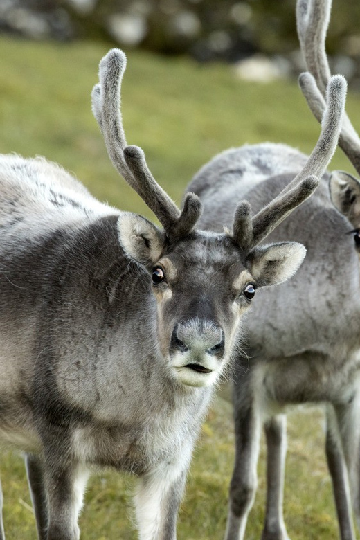 Tromso: Fjord Arctic Adventure Expedition - A photographer’s practical advantage