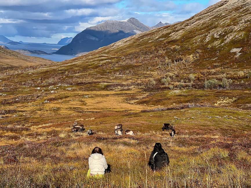 Tromso: Fjord Arctic Adventure Expedition - Hot drinks, food, and clothing