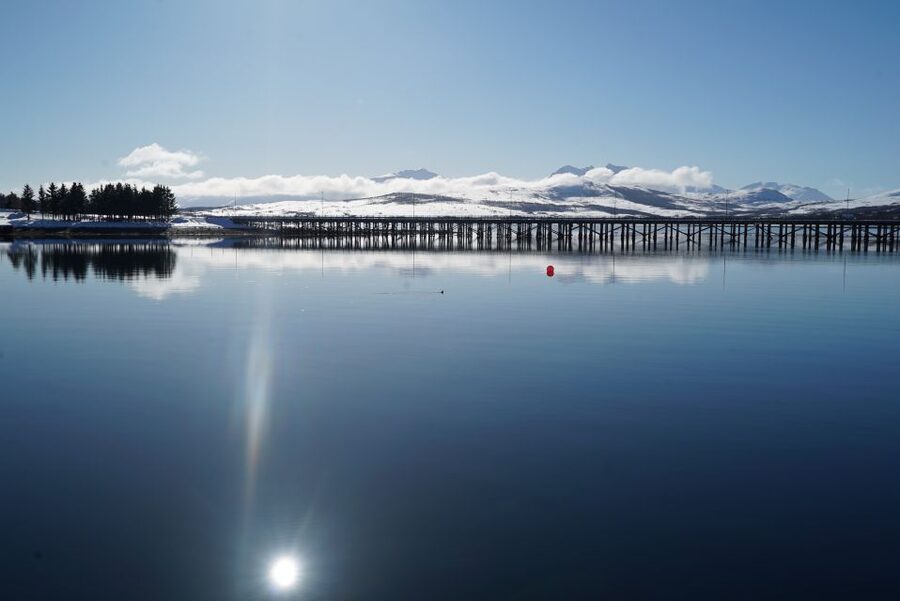 Tromsø: Fjord Cruise by Luxury Yacht - What the $236 Cruise Really Offers