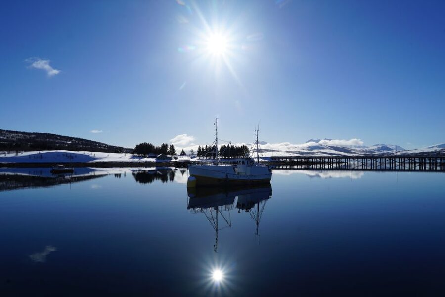 Tromsø: Fjord Cruise by Luxury Yacht - Is the Arctic Queen Truly Luxury?