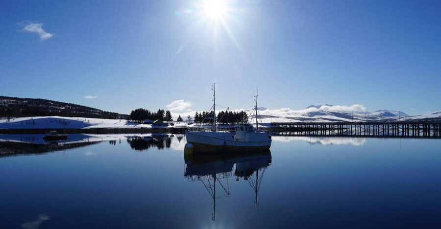 Tromsø: Fjord Cruise by Luxury Yacht - Fish Soup on the Way Back