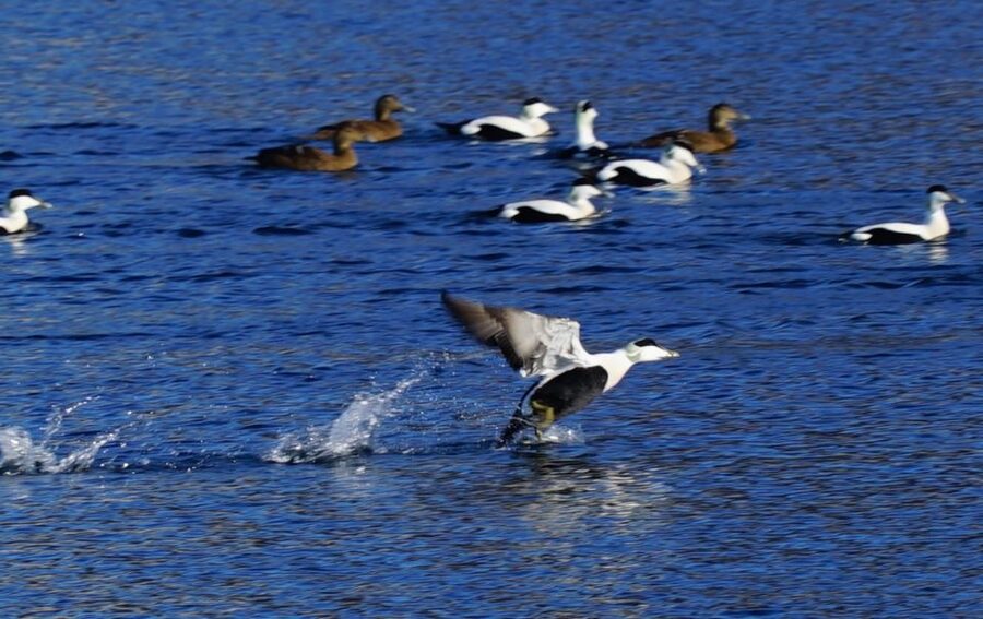 Tromsø: Fjord Cruise by Luxury Yacht - Weather, Daylight, and the Best Time to Go