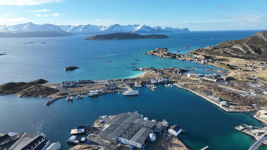 Tromsø Fjord Cruise - With a stop at Sommarøy Island - Key details before you book