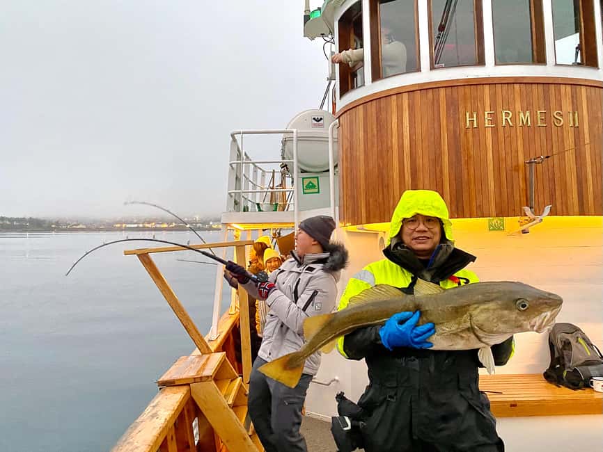 Tromsø: Fjord Fishing Cruise - Meeting Hermes II at Stortorget