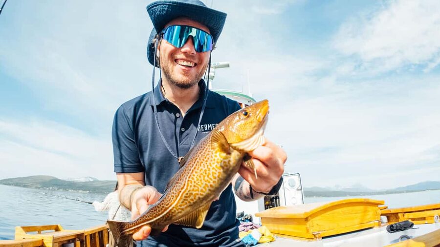 Tromsø: Fjord Fishing Cruise - Who Will Enjoy This Cruise Most?