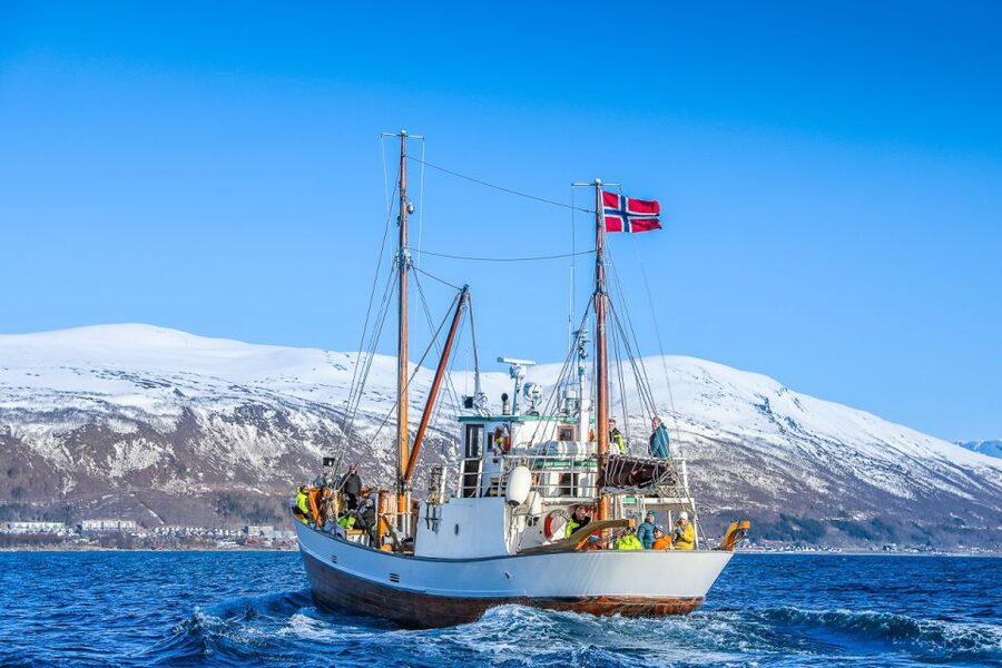 Tromsø: Fjord History Cruise with Snack and Drinks - How the 2.5-hour timing works