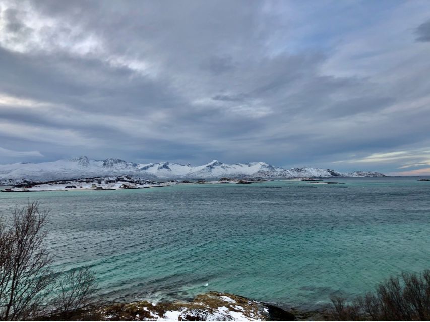Tromsø: Fjords and Sommarøy Islands Tour with Salmon Picnic - A warm drink and a taste of local life