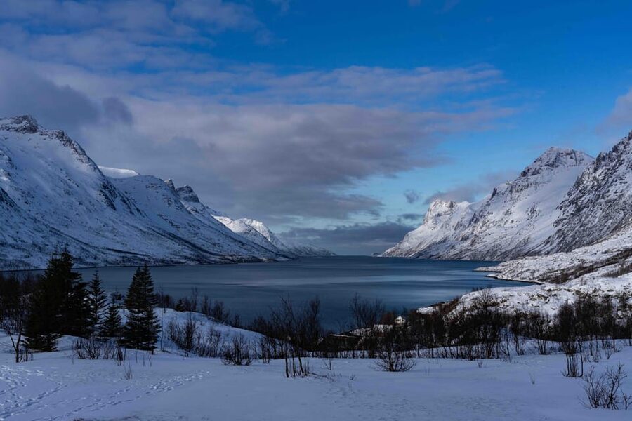 Tromsø: Fjords & Beaches Tour with Campfire and Arctic Food - Key points at a glance