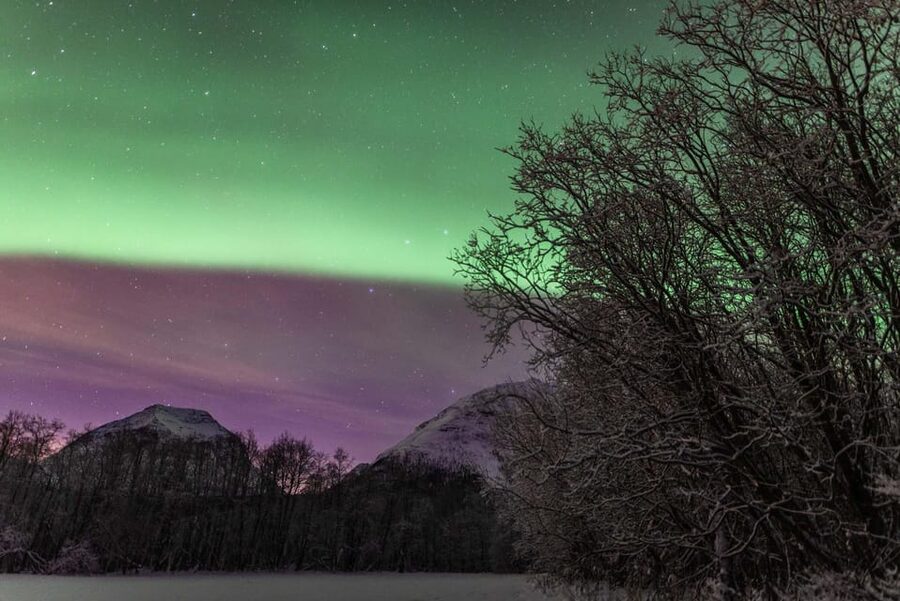 Tromsø: Fjords & Beaches Tour with Campfire and Arctic Food - Who should book this Kvaløya outing?