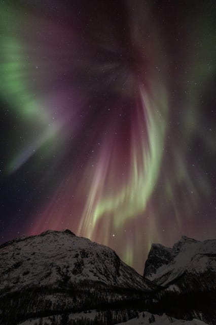 Tromsø: Fjords & Beaches Tour with Campfire and Arctic Food - A guide-led day, not a scripted bus ride