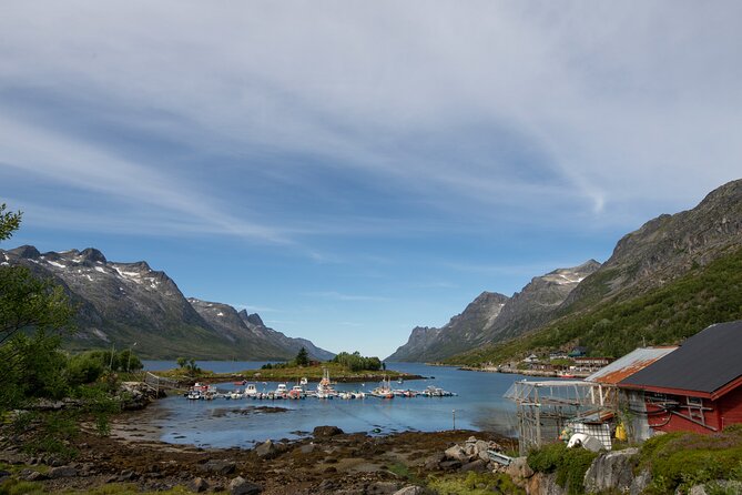 Tromso fjords road trip with fire in grill cabin by the beach. - A small group and the guide factor