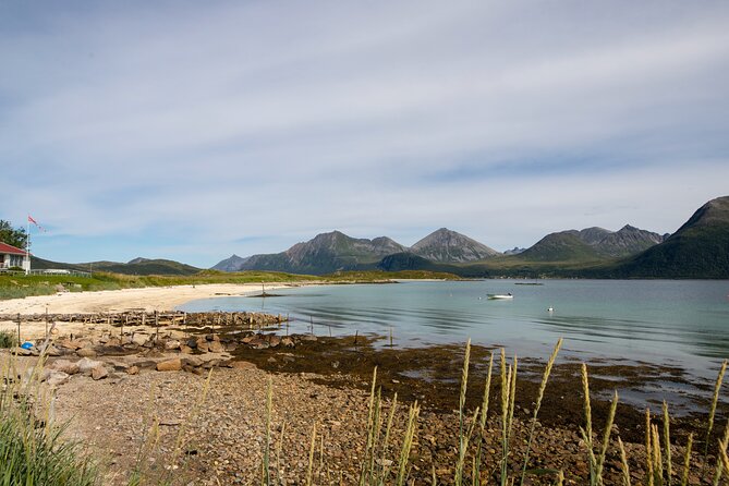 Tromso fjords road trip with fire in grill cabin by the beach. - Who should book this road trip?