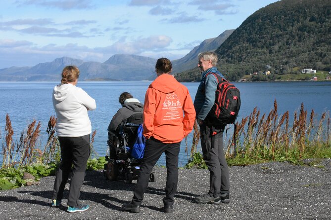 Tromsø Fjords Tour of Kvaloya and Sommaroy - Ersfjordbotn, a short stop with a big view