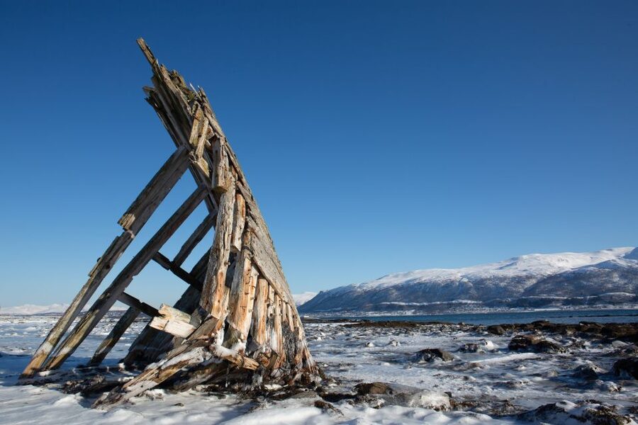 Tromso: Guided Fjord Expedition in Kvaløya with Light Lunch - The final call: book it for scenery and flexibility