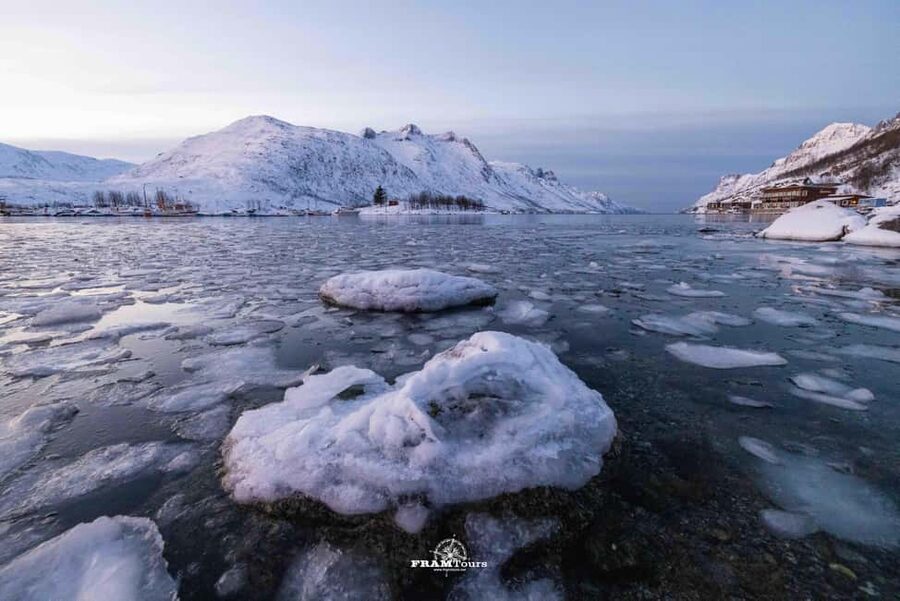 Tromso: Guided Fjord Expedition in Kvaløya with Light Lunch - Photography help from the guide