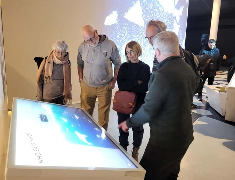 Tromsø: Guided Polar Bear Walk incl. Polaria & Polar Museum - Walking Tromsø’s quayside and old town