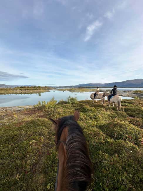 Tromsø: Horseback Riding Tour - At a glance: what makes this ride special