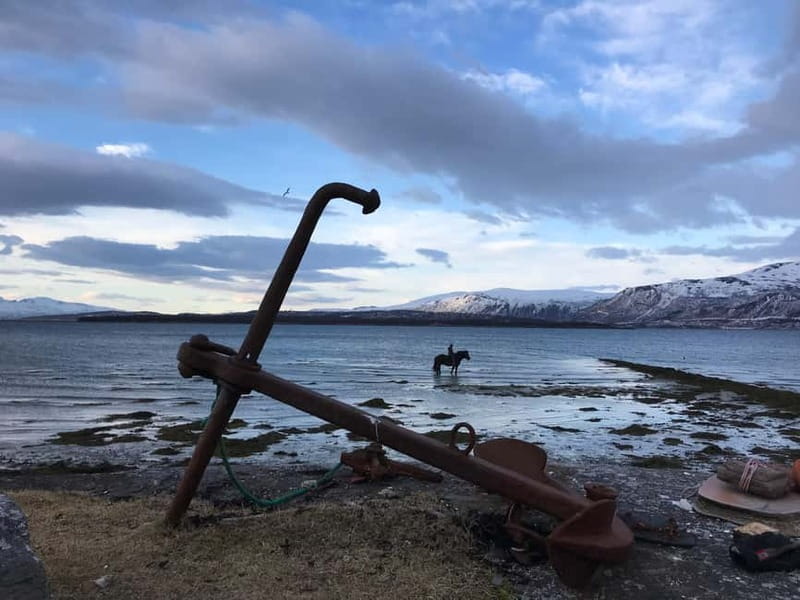 Tromsø: Horseback Riding Tour - Starting at Marisletta gård on Kvaløya