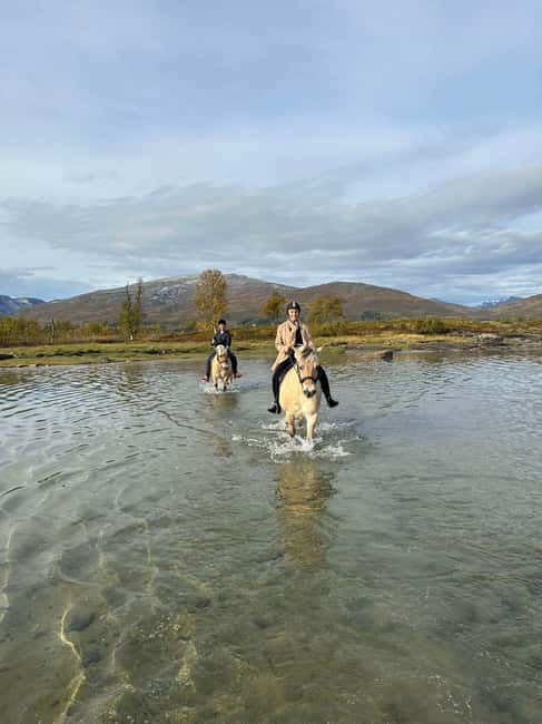 Tromsø: Horseback Riding Tour - What the ride feels like for beginners
