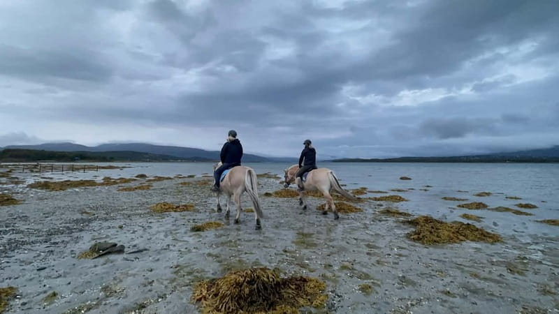 Tromsø: Horseback Riding Tour - A closer look at the itinerary