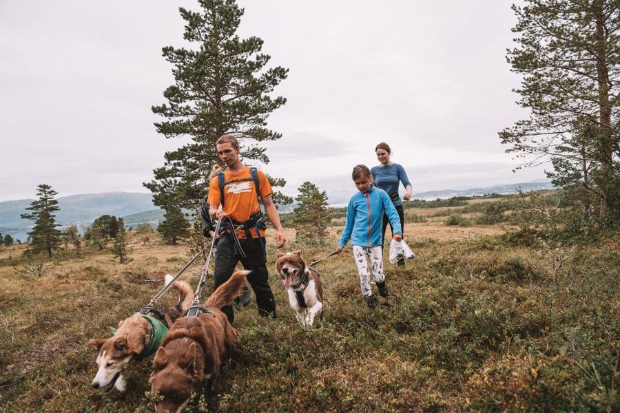 Tromsø: Husky Hike and Puppy Visit with Traditional Lunch - Meeting the huskies at Tromsø Villmarkssenter