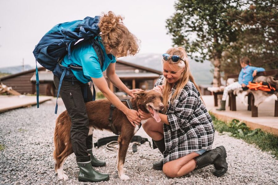 Tromsø: Husky Hike and Puppy Visit with Traditional Lunch - How to prepare for the day