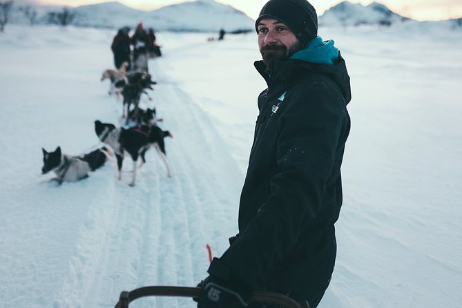 Tromso Husky Self-Drive Sledding with Cake and Drink in Lavvu - Learning to drive your own sled