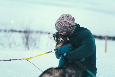 Tromso Husky Self-Drive Sledding with Cake and Drink in Lavvu