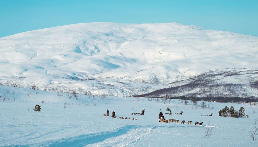 Tromsø: Husky Sled Self-Drive with Traditional Lunch - Meeting the bus outside the Radisson Blu
