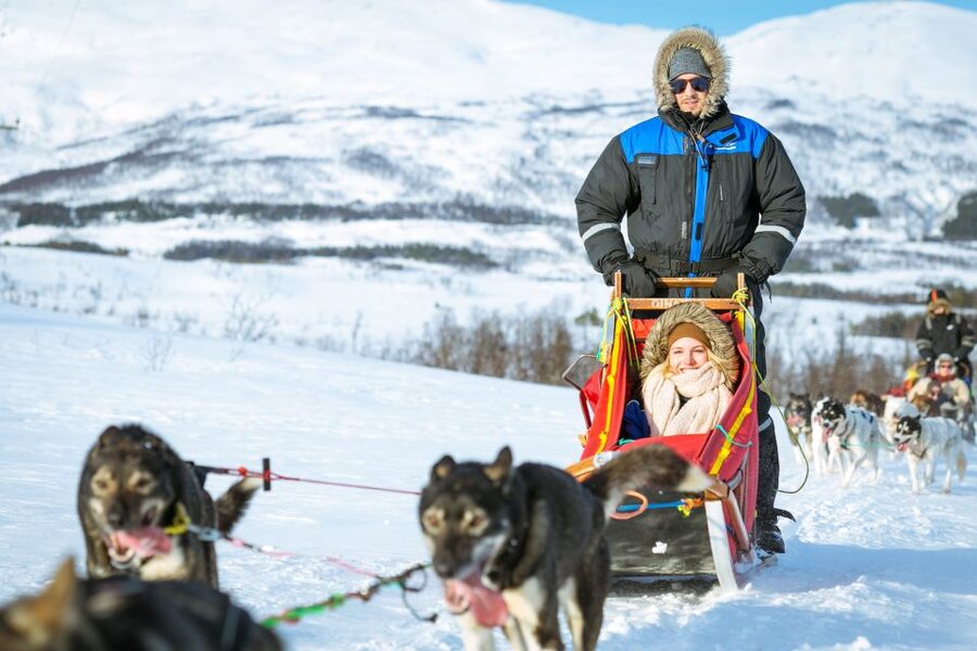 Tromsø: Husky Sled Self-Drive with Traditional Lunch - Price, value, and what you are paying for