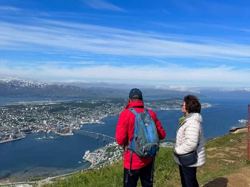 Tromsø: Island Tour & Cable Car with Tromsø Accessible Tours - The Arctic Cathedral gets two photo stops