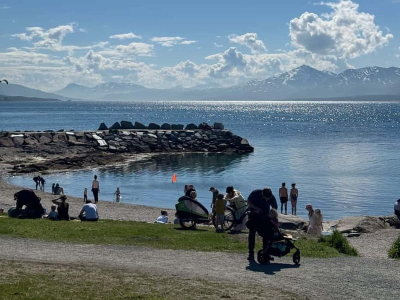 Tromsø: Island Tour & Cable Car with Tromsø Accessible Tours - Meeting in central Tromsø or at the cruise terminal