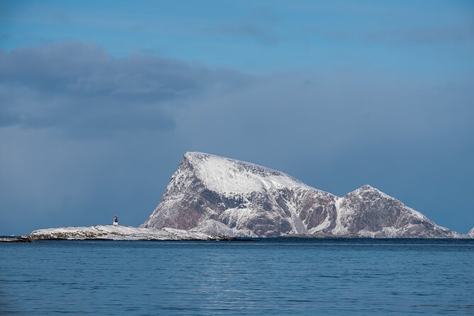 Tromsø: Kvaløya & Sommarøy Guided Fjord Tour with Lunch - Lunch, coffee, tea, and the practical value of food