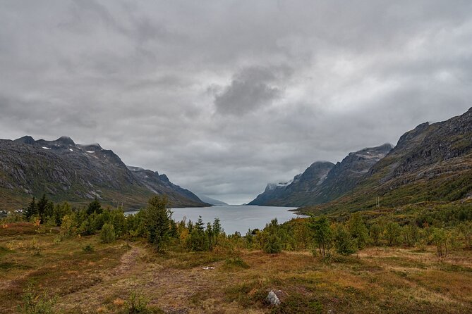 Tromsø: Kvaløya & Sommarøy Guided Fjord Tour with Lunch - How the guides shape the day