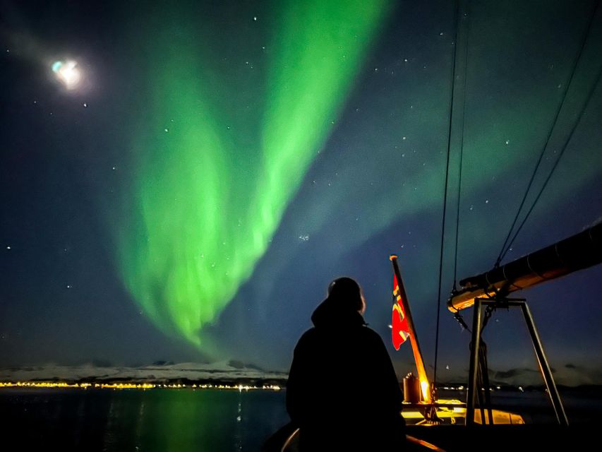 Tromso: Luxury Northern Lights Cruise with Hot Tub & Dinner - Reindeer soup, cookies, and hot drinks