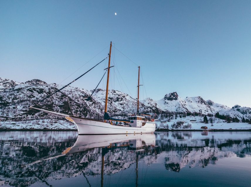 Tromso: Luxury Northern Lights Cruise with Hot Tub & Dinner - The hot tub under the Arctic sky
